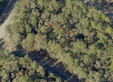 10735 N Malva Way, Citrus Springs, FL 34434