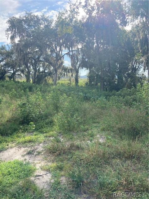 2655 N Perfect Pt, Hernando, FL 34442 photo 1