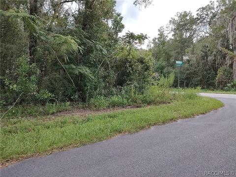 3630 E Walker St, Inverness, FL 34453 photo 2
