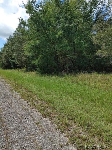 10773 N Allwood Ter, Citrus Springs, FL 34434