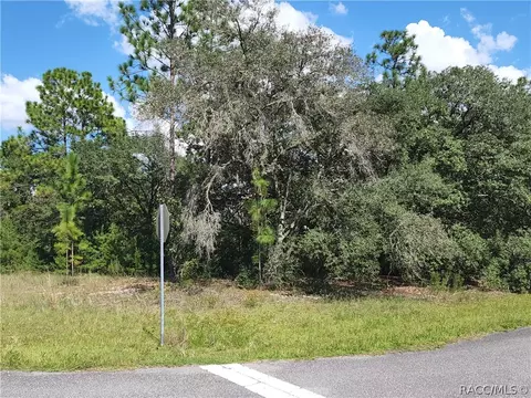 9139 N Abaco Way, Citrus Springs, FL 34433