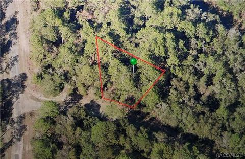 2185 W Geer Pl, Citrus Springs, FL 34434