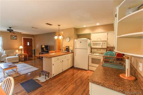 6401 N Shorewood Dr, Hernando, FL 34442 photo 25