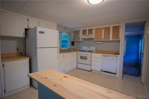 1155 E La Salle St, Hernando, FL 34442 photo 11