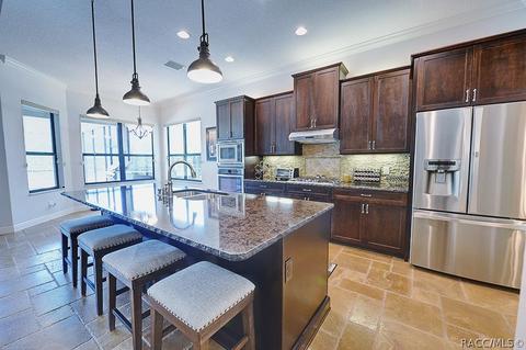 1815 W Herick Ct, Hernando, FL 34442 photo 9