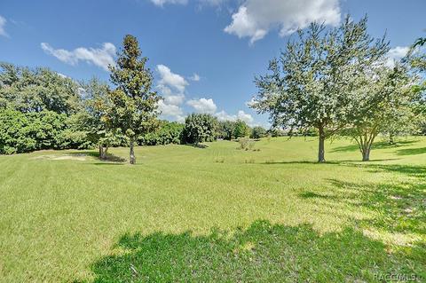 1815 W Herick Ct, Hernando, FL 34442 photo 43