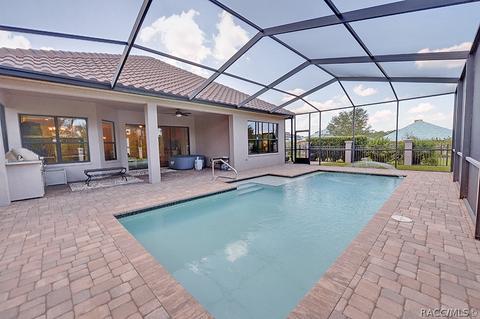 1815 W Herick Ct, Hernando, FL 34442 photo 34