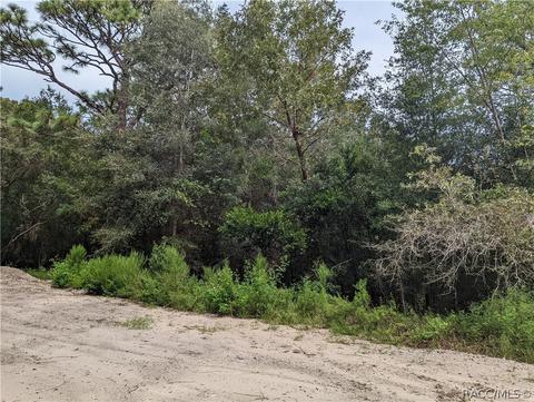 55 E Pilar St, Hernando, FL 34442 photo 3