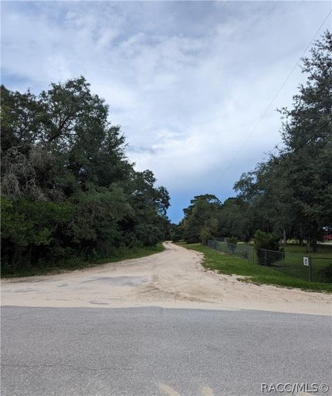 55 E Pilar St, Hernando, FL 34442 photo 4