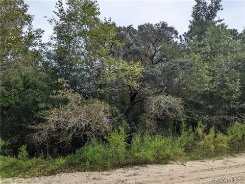55 E Pilar St, Hernando, FL 34442 photo 2