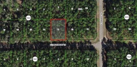 401 E Canterbury Ln, Citrus Springs, FL 34434