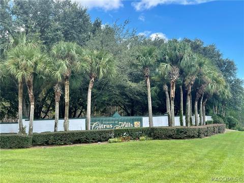 1199 N Hambletonian Dr, Hernando, FL 34442 photo 12