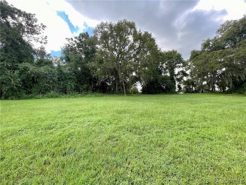 1199 N Hambletonian Dr, Hernando, FL 34442 photo 8