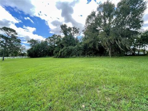 1199 N Hambletonian Dr, Hernando, FL 34442 photo 5