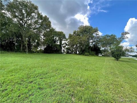 1199 N Hambletonian Dr, Hernando, FL 34442 photo 9