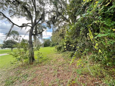 1199 N Hambletonian Dr, Hernando, FL 34442 photo 7