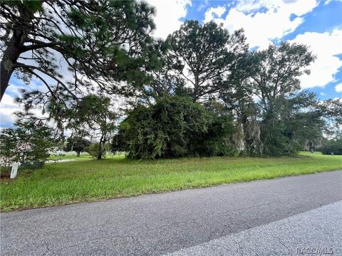 1199 N Hambletonian Dr, Hernando, FL 34442 photo 1