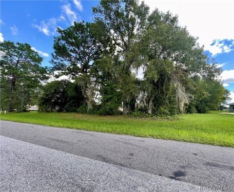 1199 N Hambletonian Dr, Hernando, FL 34442 photo 2