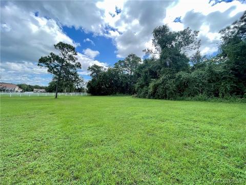 1199 N Hambletonian Dr, Hernando, FL 34442 photo 10