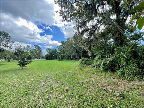 1199 N Hambletonian Dr, Hernando, FL 34442 photo 3