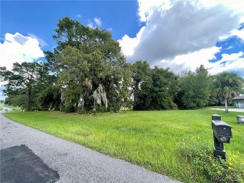 1199 N Hambletonian Dr, Hernando, FL 34442 photo 4
