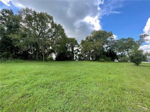1199 N Hambletonian Dr, Hernando, FL 34442 photo 6