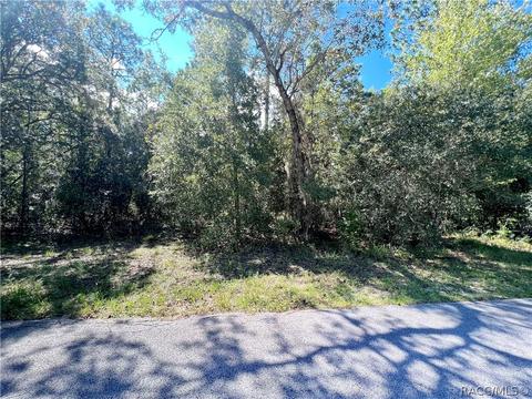 1210 E Rockefeller Ln, Hernando, FL 34442 photo 1