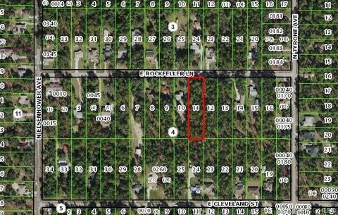 1210 E Rockefeller Ln, Hernando, FL 34442 photo 4