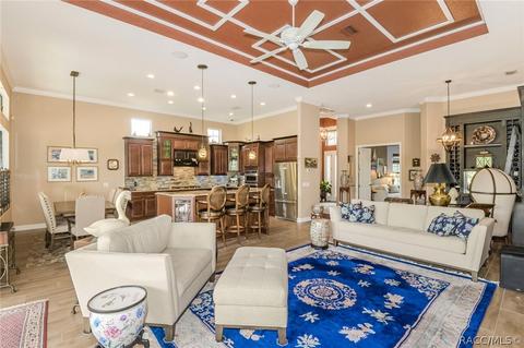 1117 W Pointer Loop, Hernando, FL 34442 photo 6
