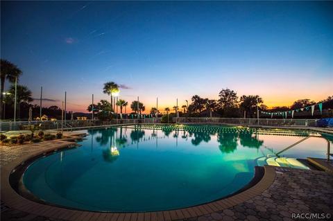 1117 W Pointer Loop, Hernando, FL 34442 photo 63