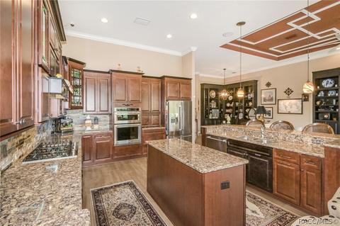 1117 W Pointer Loop, Hernando, FL 34442 photo 10