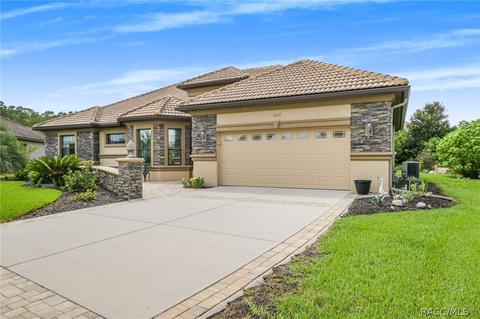1117 W Pointer Loop, Hernando, FL 34442 photo 50