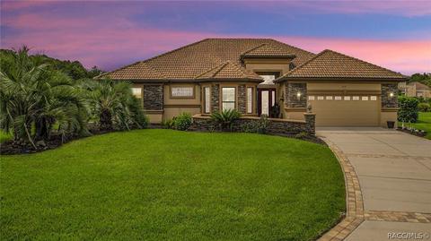 1117 W Pointer Loop, Hernando, FL 34442 photo 1