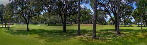 682 Epsom Ct, Hernando, FL 34442 photo 37