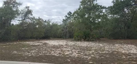 3216 N Spyglass Village Path, Lecanto, FL 34461