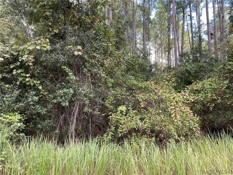 9231 N Patch Dr, Citrus Springs, FL 34434
