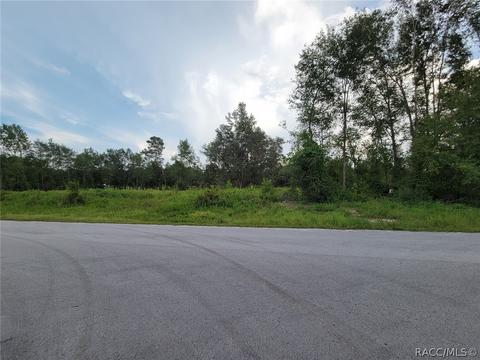 4450 NE 138th Ter, Williston, FL 32696 photo 18