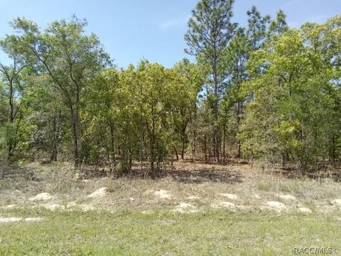 1478 W Manchester Dr, Citrus Springs, FL 34434