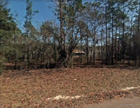 9895 N Odessa Way, Citrus Springs, FL 34434