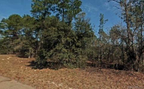9905 N Odessa Way, Citrus Springs, FL 34434