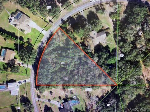 425 N Cornish Pt, Lecanto, FL 34461