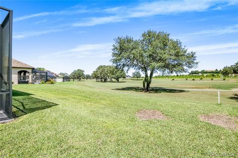 1401 N Eagle Ridge Path, Hernando, FL 34442 photo 29