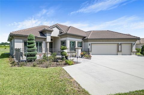1401 N Eagle Ridge Path, Hernando, FL 34442 photo 8