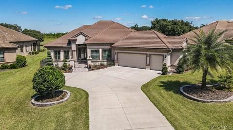 1401 N Eagle Ridge Path, Hernando, FL 34442 photo 1