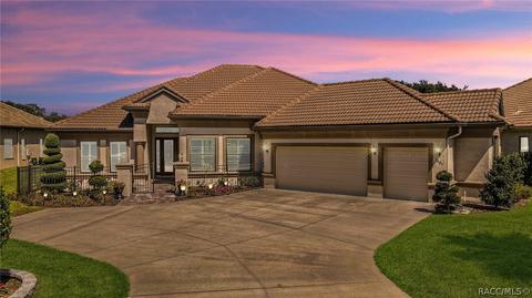 1401 N Eagle Ridge Path, Hernando, FL 34442 photo 4