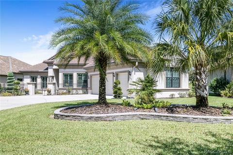 1401 N Eagle Ridge Path, Hernando, FL 34442 photo 9