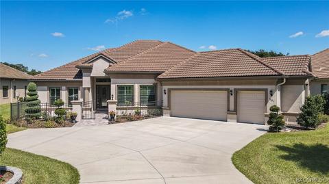 1401 N Eagle Ridge Path, Hernando, FL 34442 photo 3