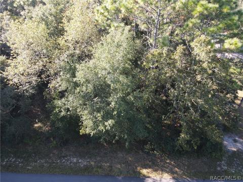 1308 E Mckinley St, Hernando, FL 34442