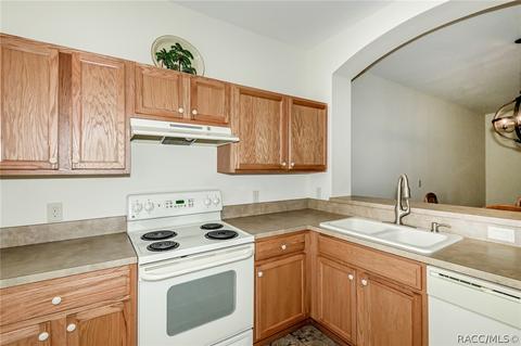 1670 W Spring Meadow Loop, Lecanto, FL 34461 photo 16