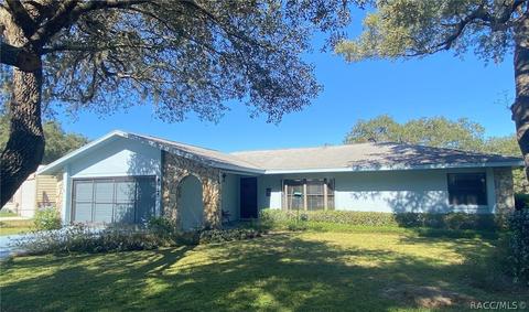 9325 E Windwood Loop, Inverness, FL 34450 photo 1